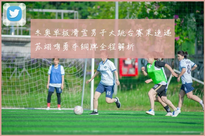 冬奥单板滑雪男子大跳台赛果速递苏翊鸣勇夺铜牌全程解析